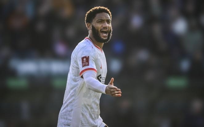 最终陷入被 最终陷入被